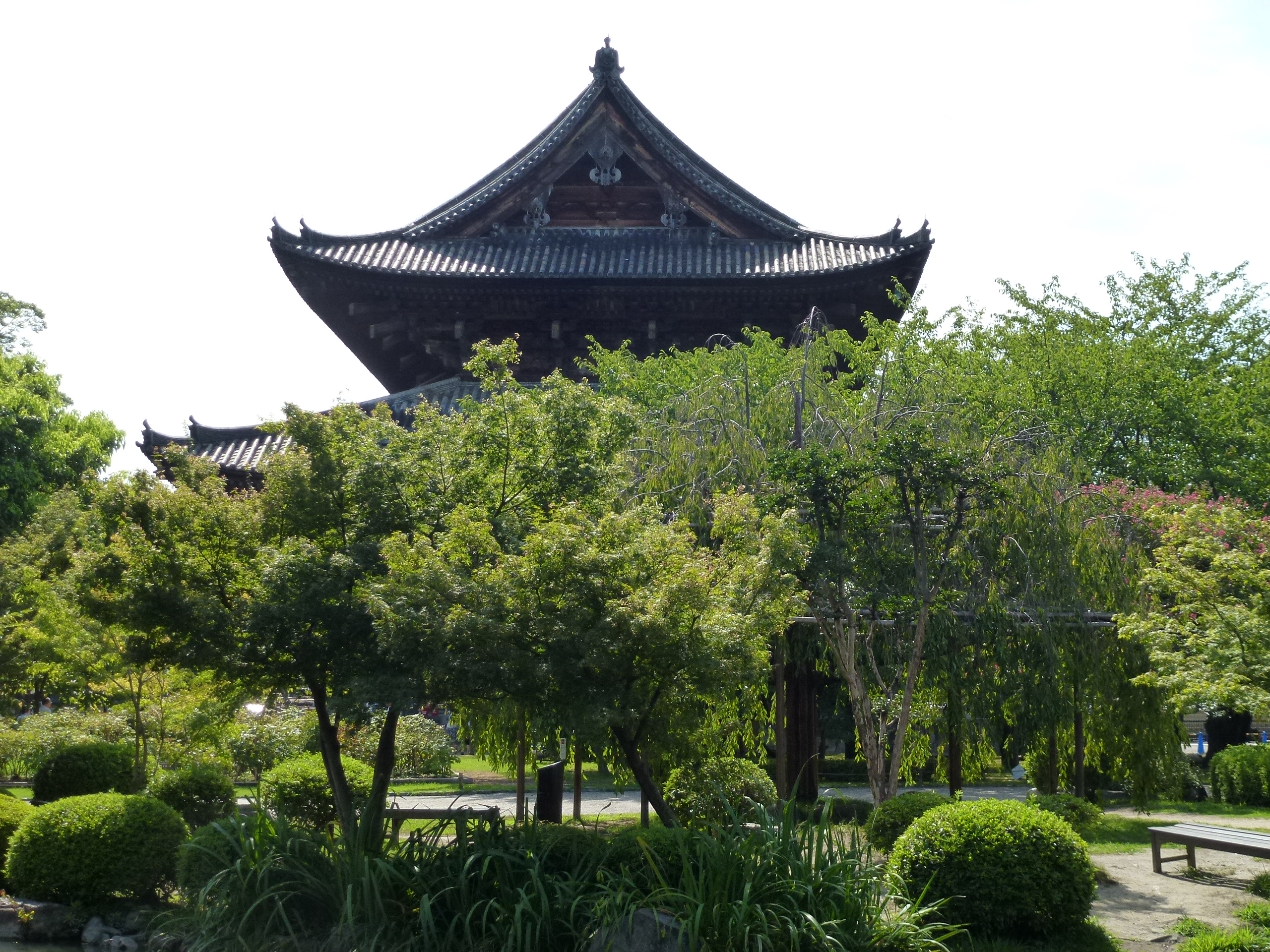 P1000230.JPG