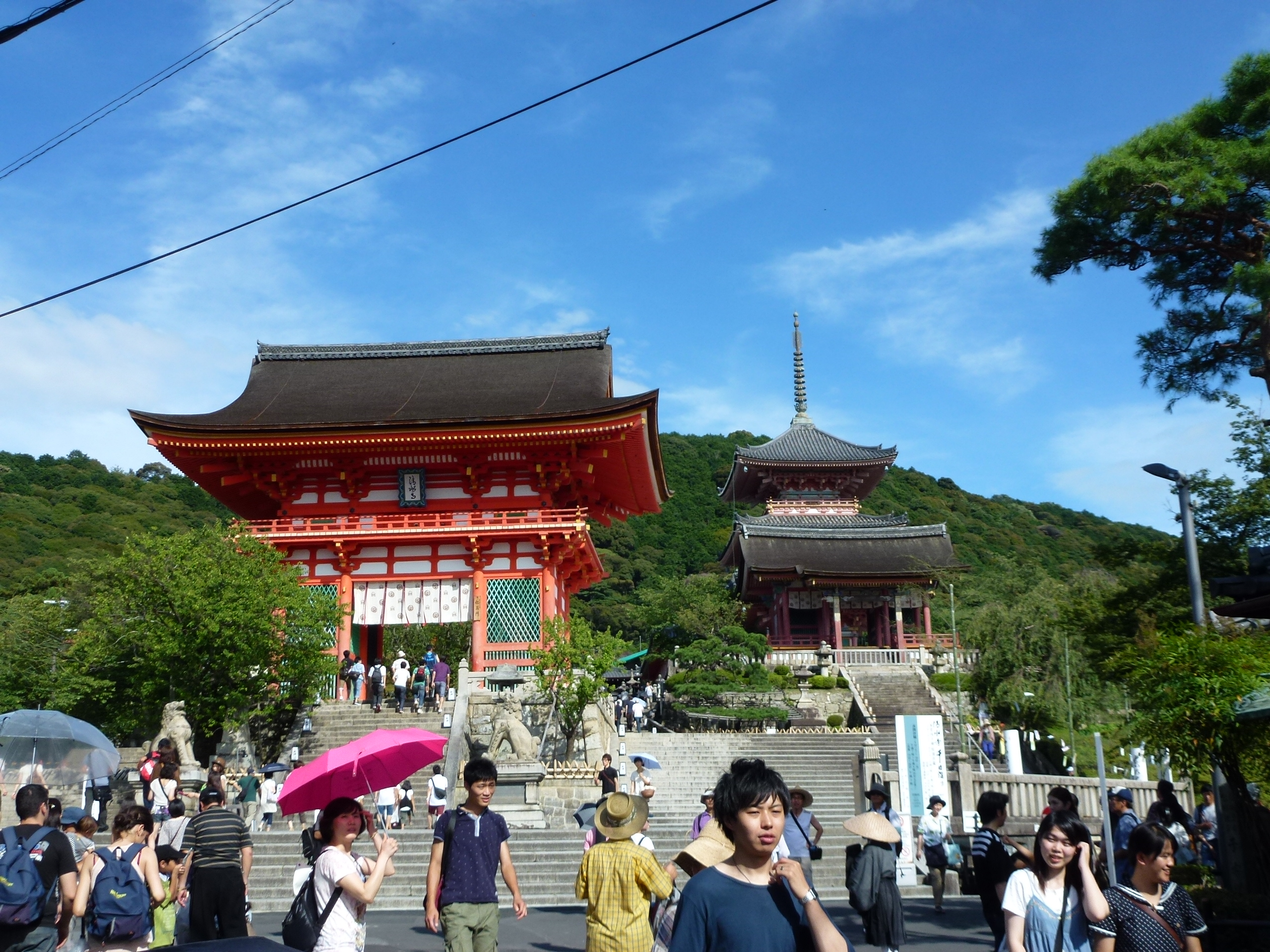P1000239.JPG