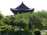 img0008.jpg
