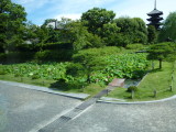 img0015.jpg