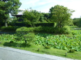 img0016.jpg