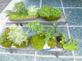 img0021.jpg