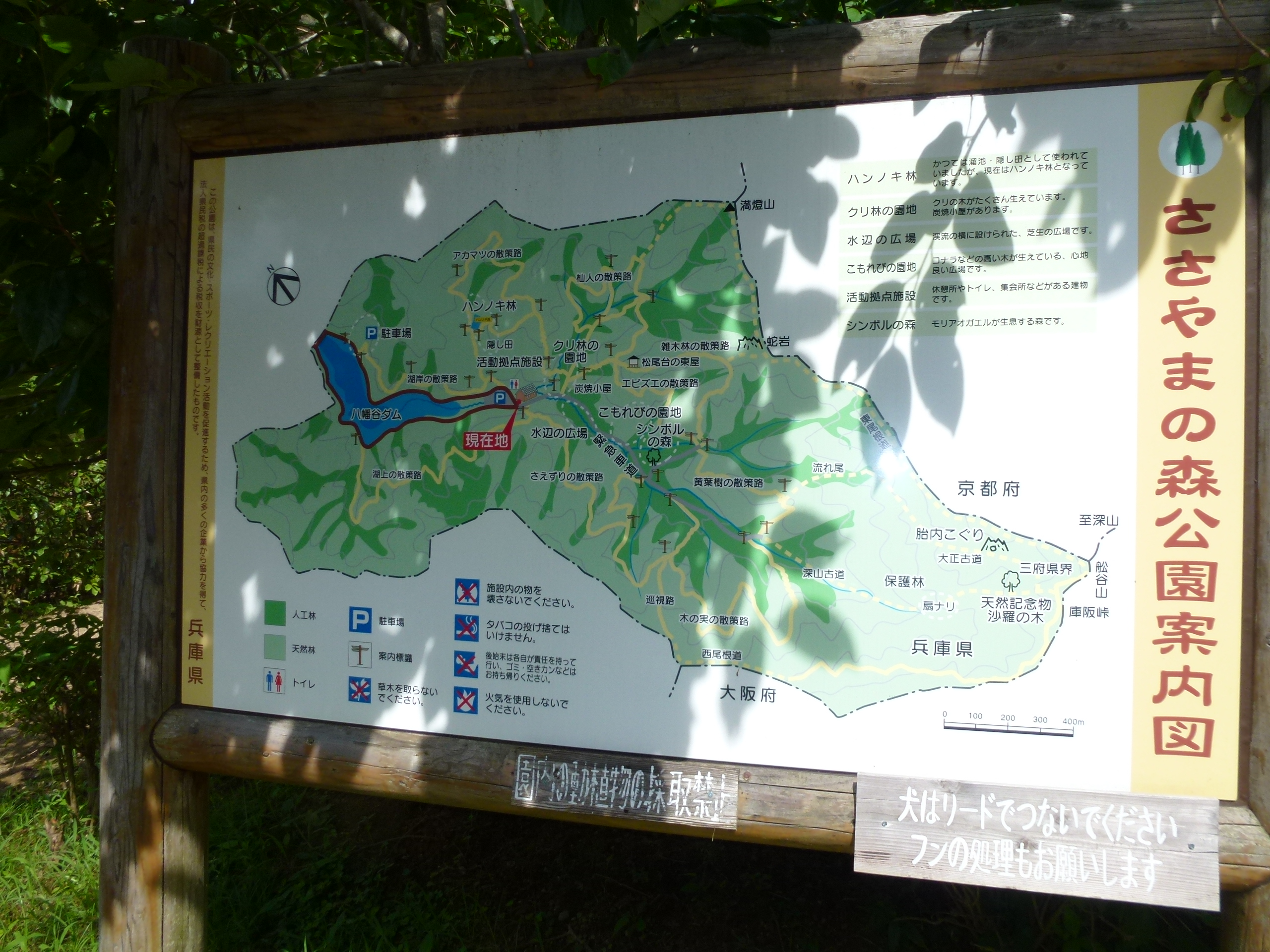 P1000290.JPG