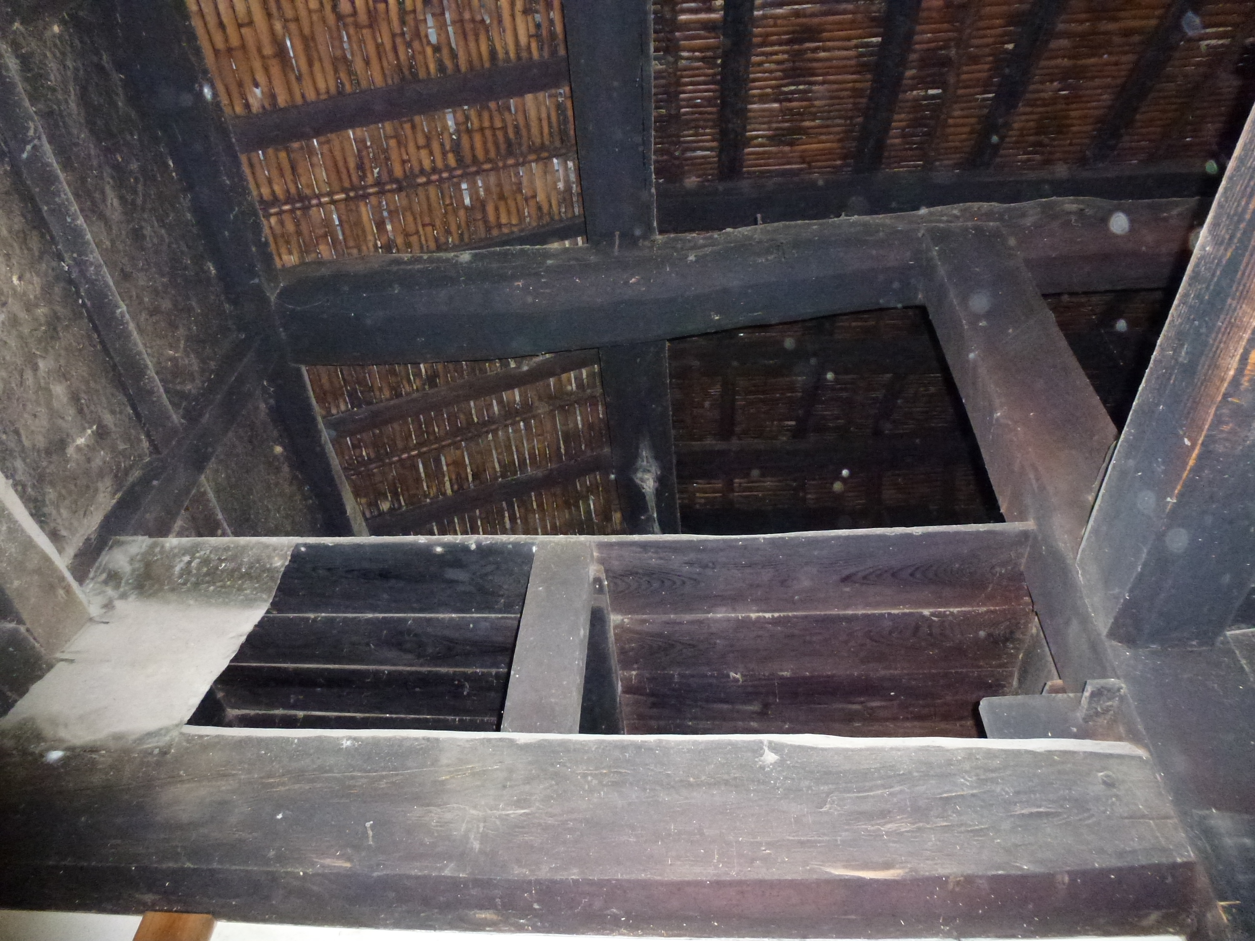 P1000300.JPG