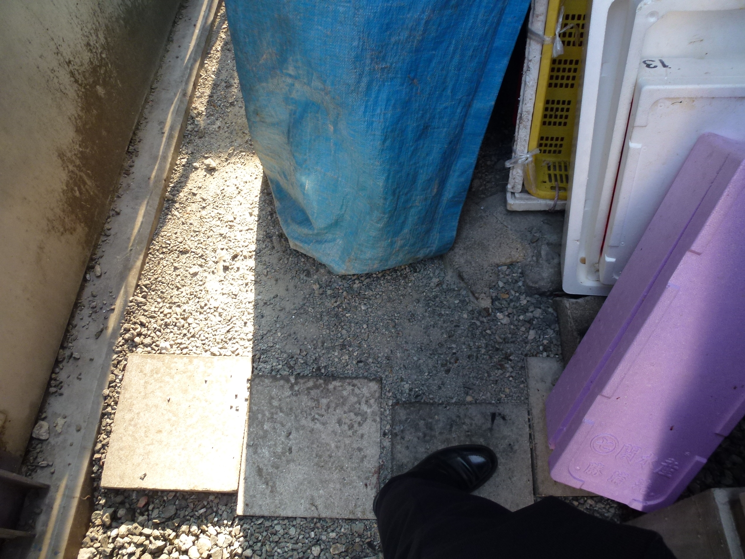 P1000330.JPG