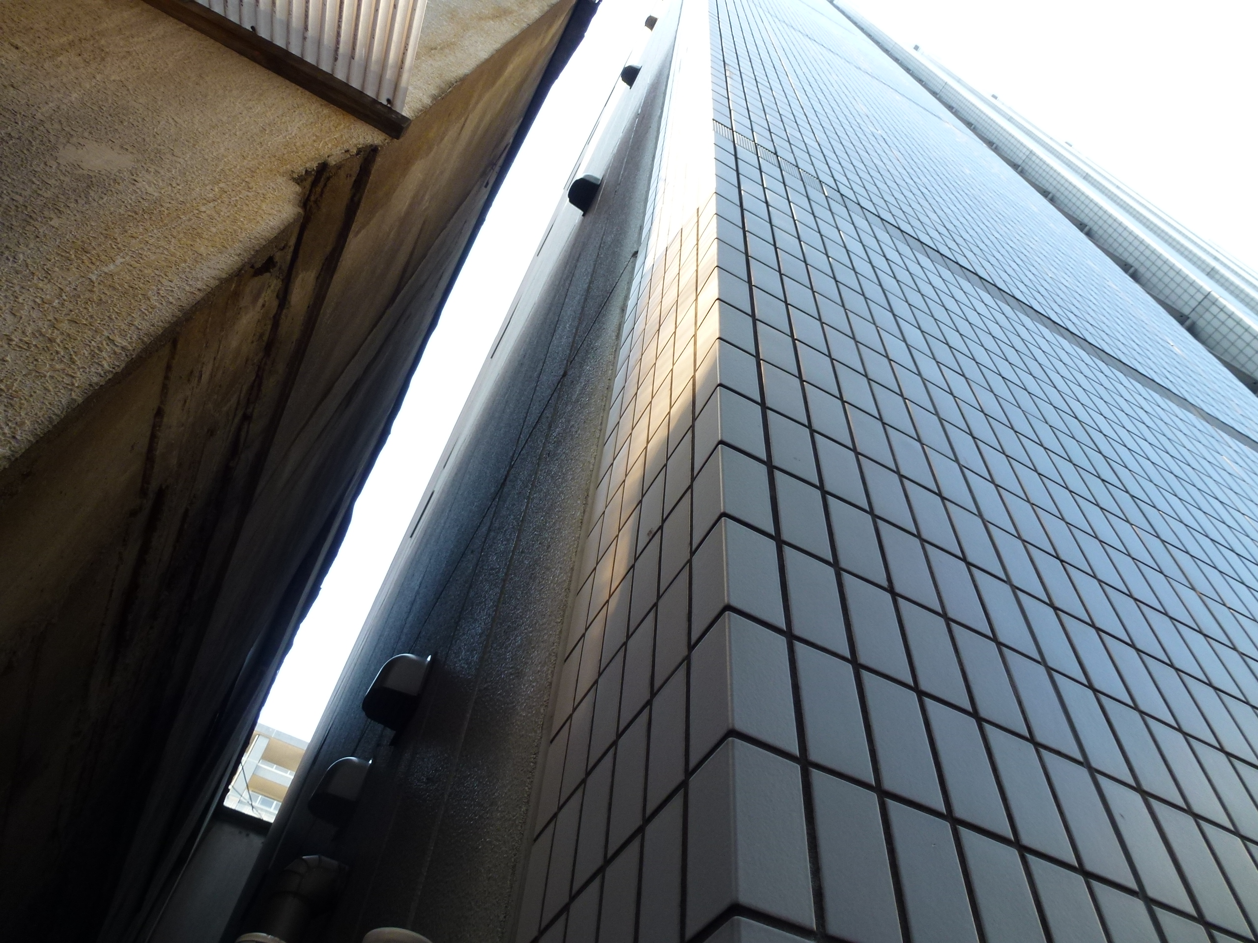 P1000331.JPG
