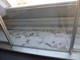 img0006.jpg