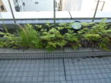 img0038.jpg