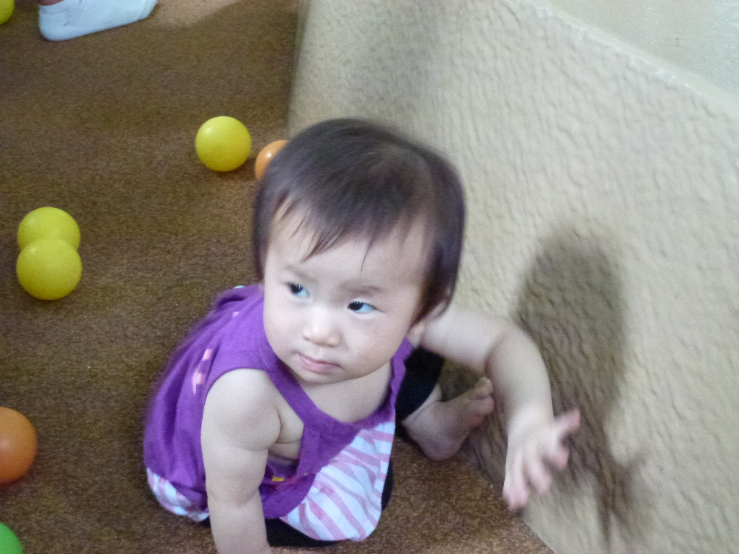 P1000365.JPG