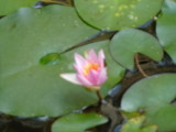 img0000.jpg