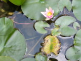 img0001.jpg