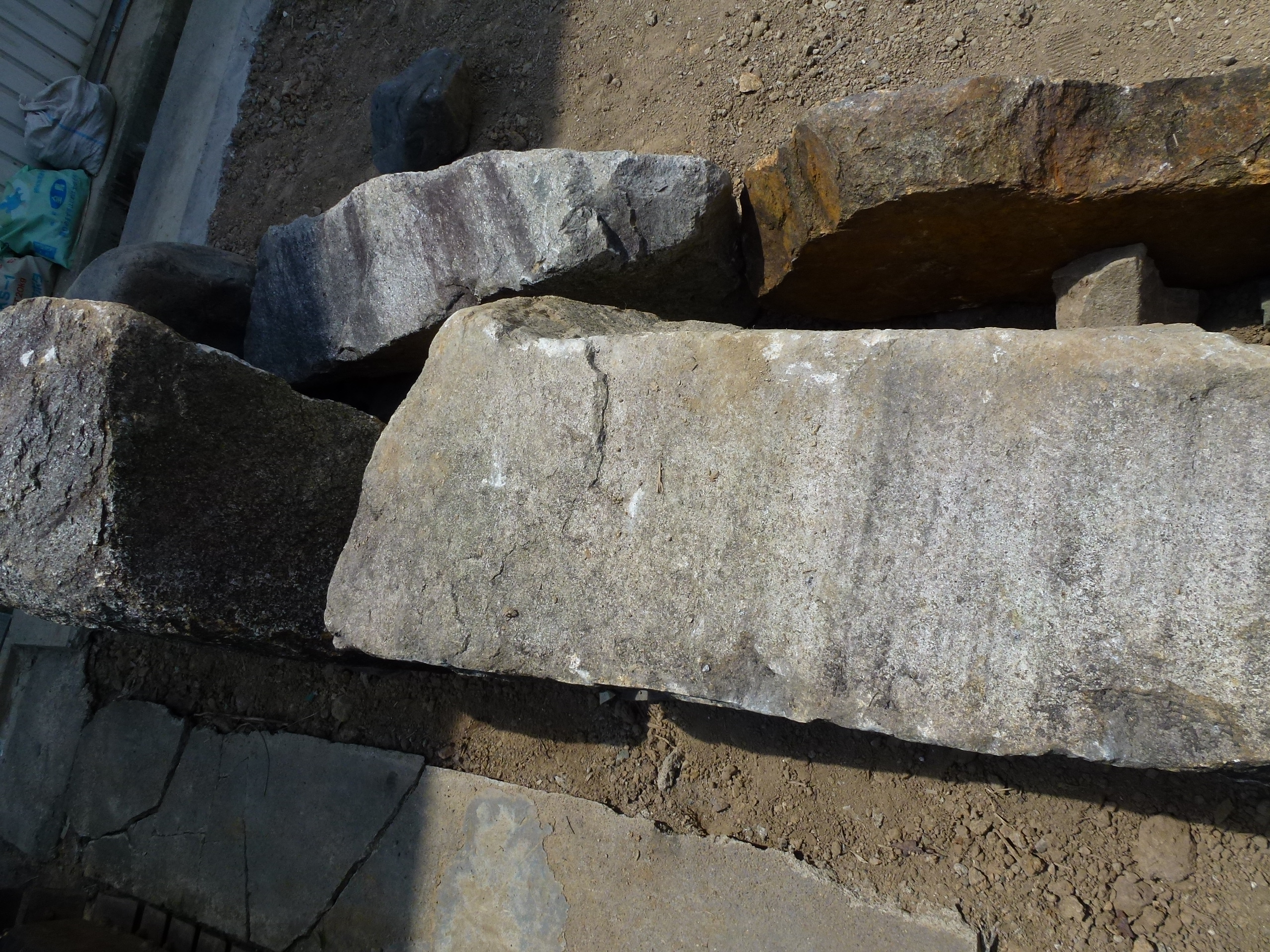 P1000410.JPG