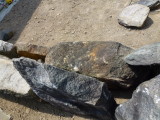 img0007.jpg