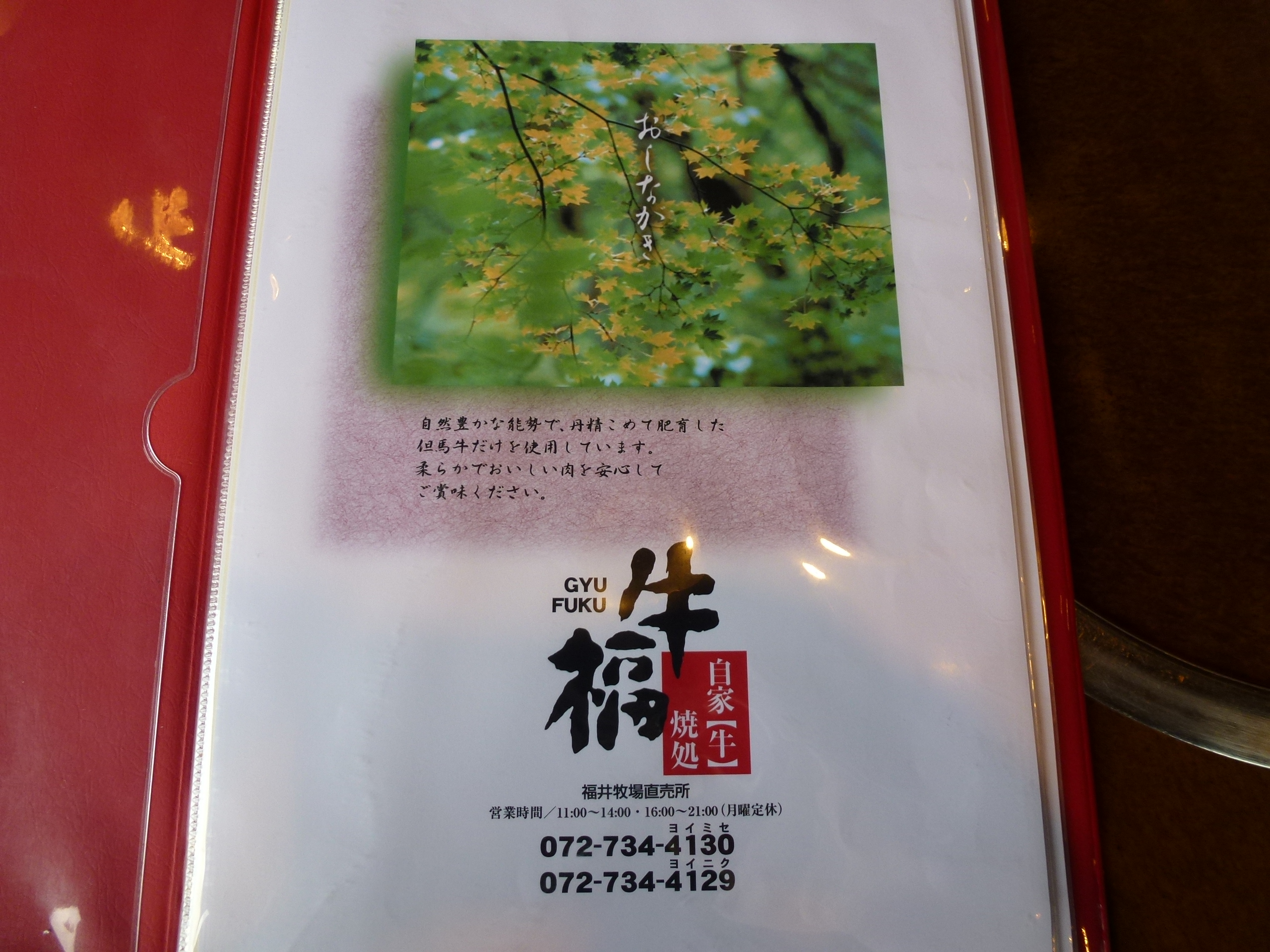 P1000467.JPG