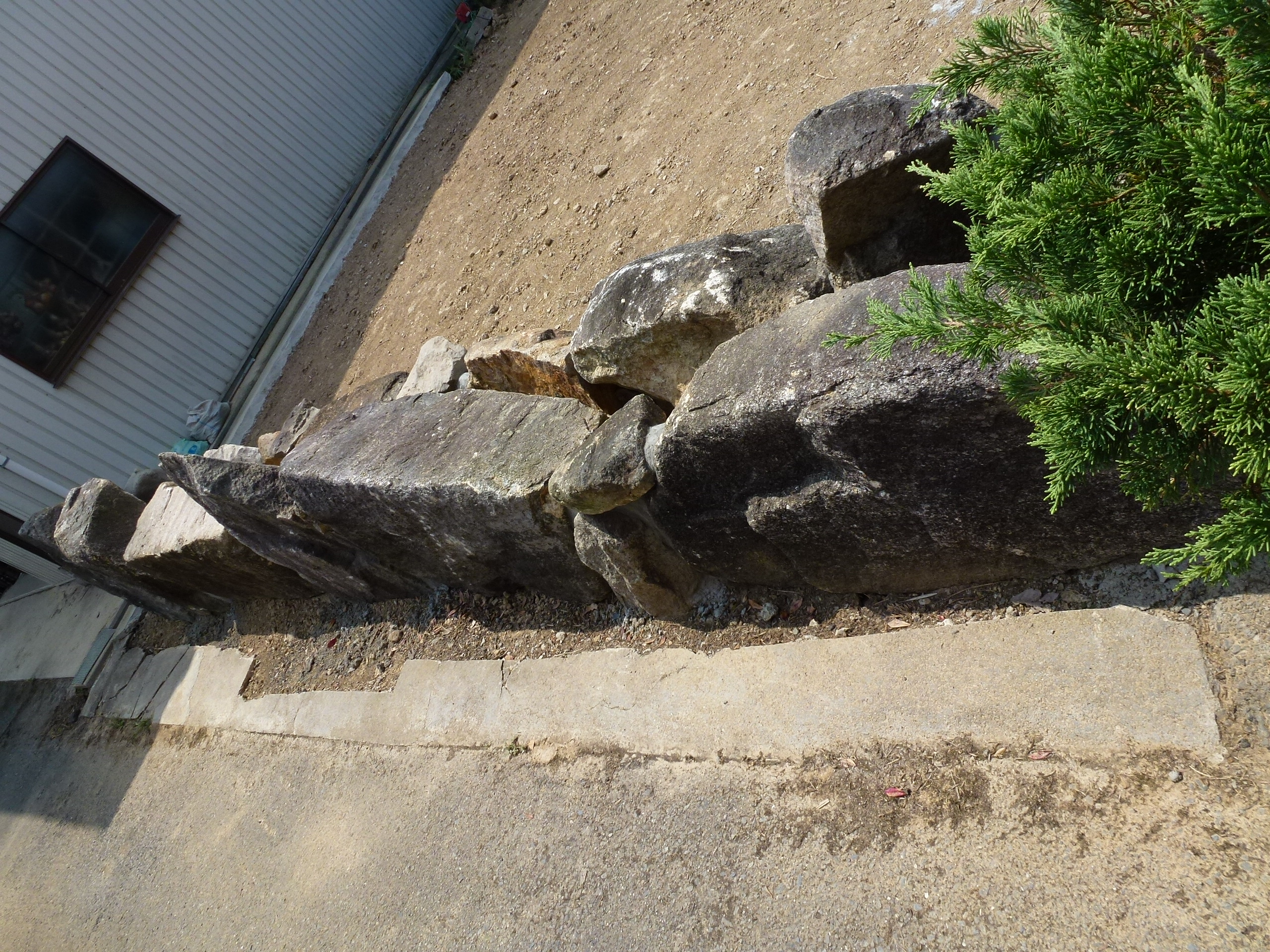 P1000474.JPG