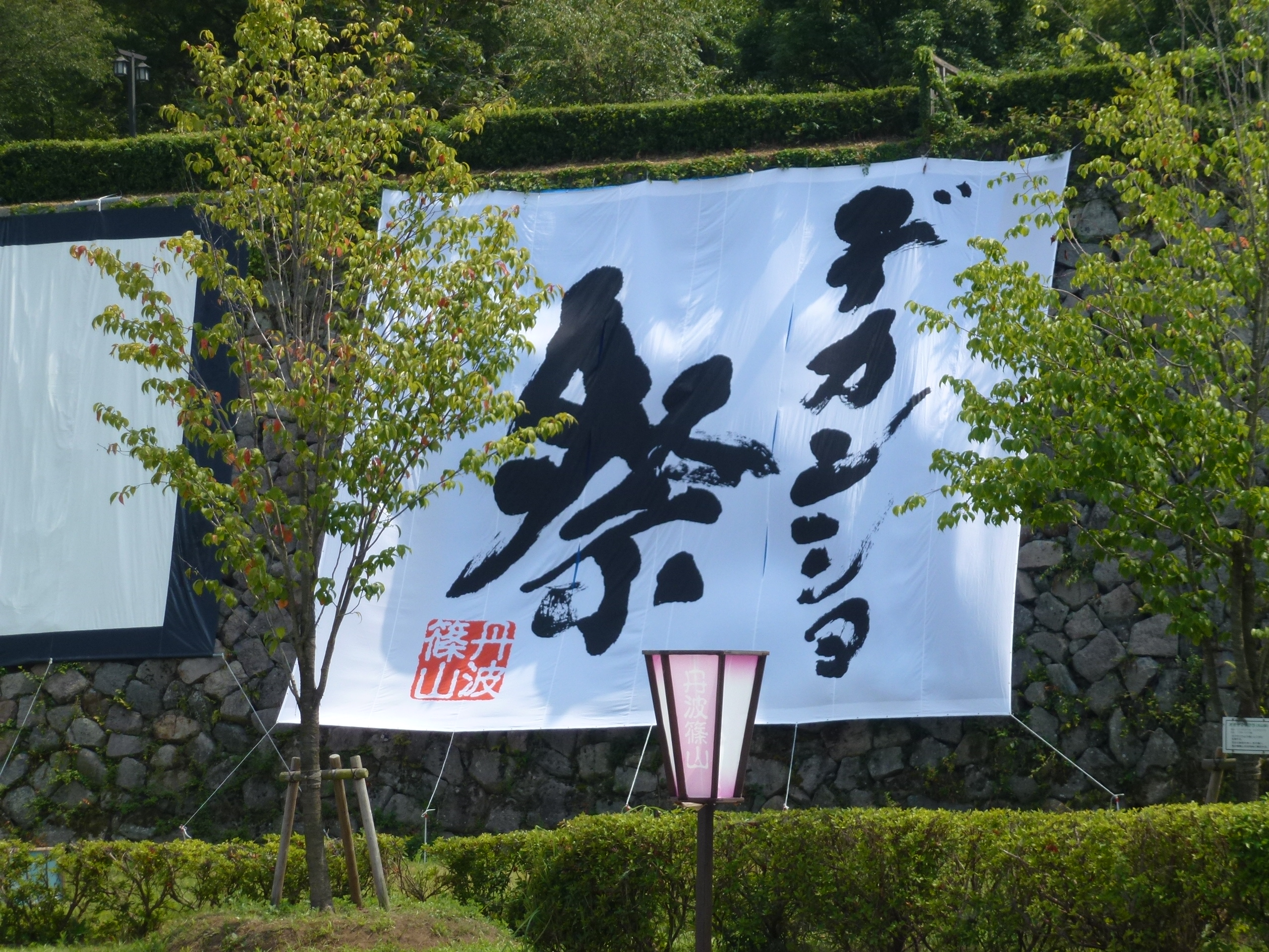 P1000482.JPG