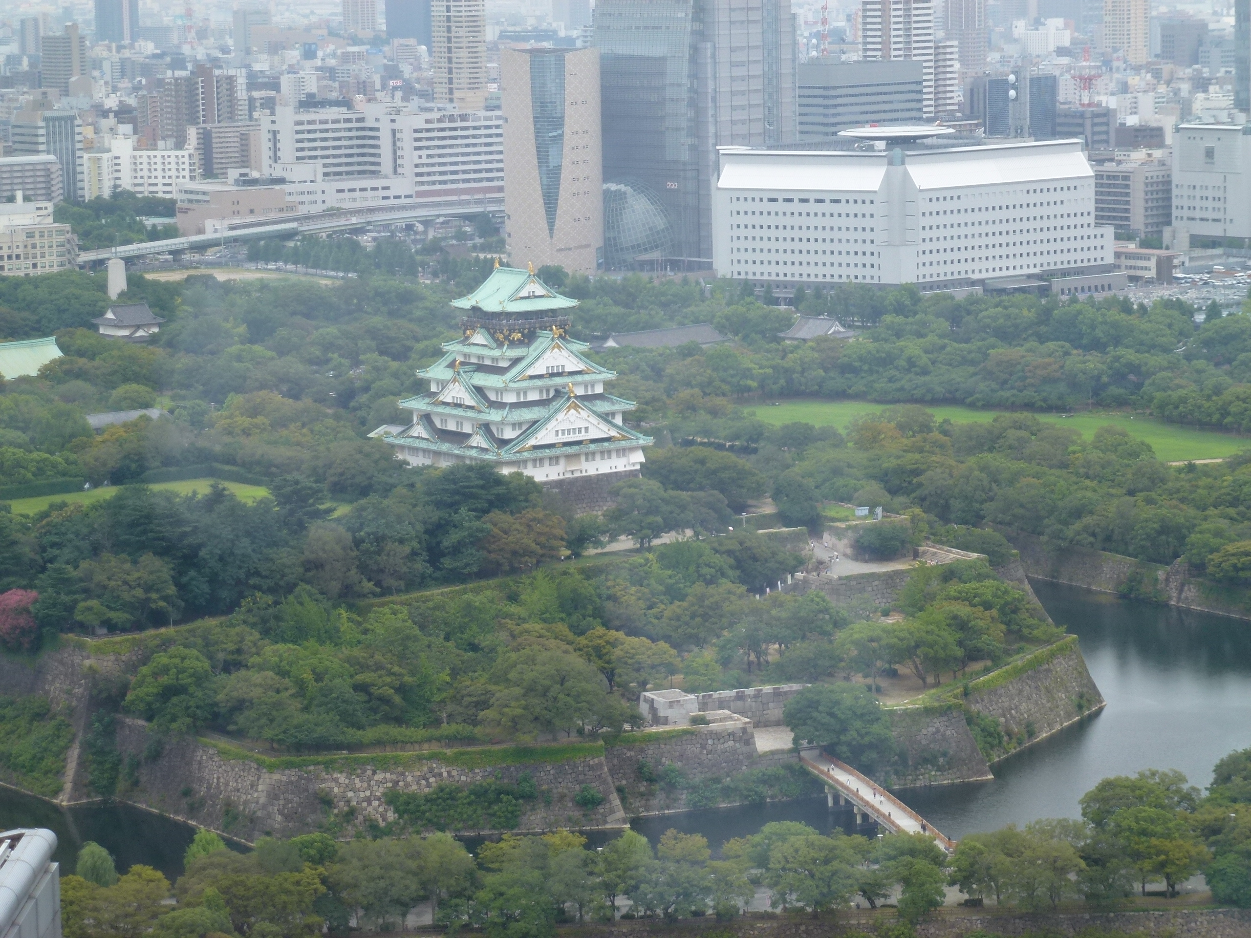 P1000517.JPG