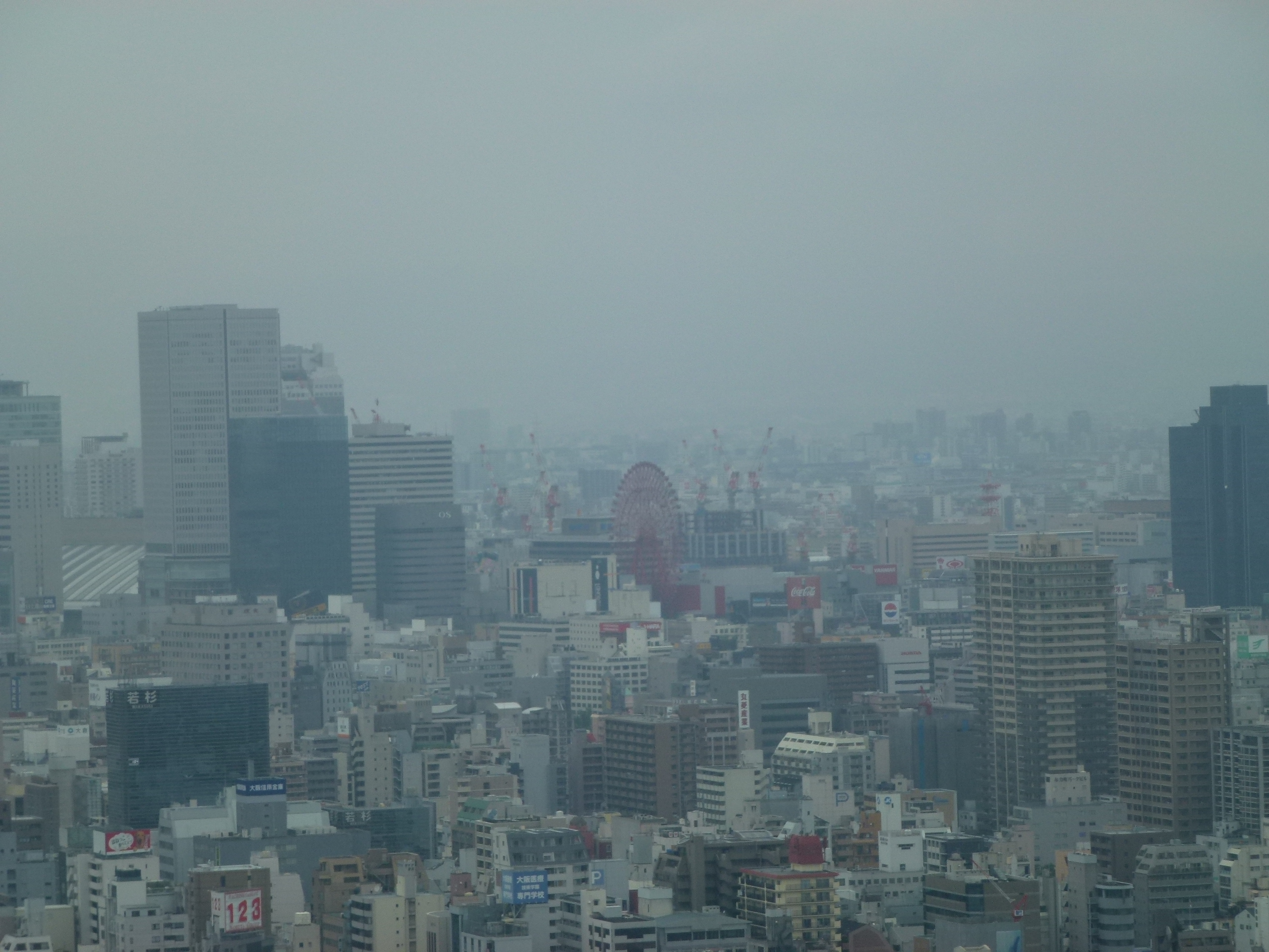 P1000525.JPG