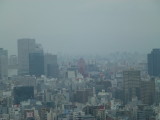 img0015.jpg