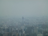 img0016.jpg