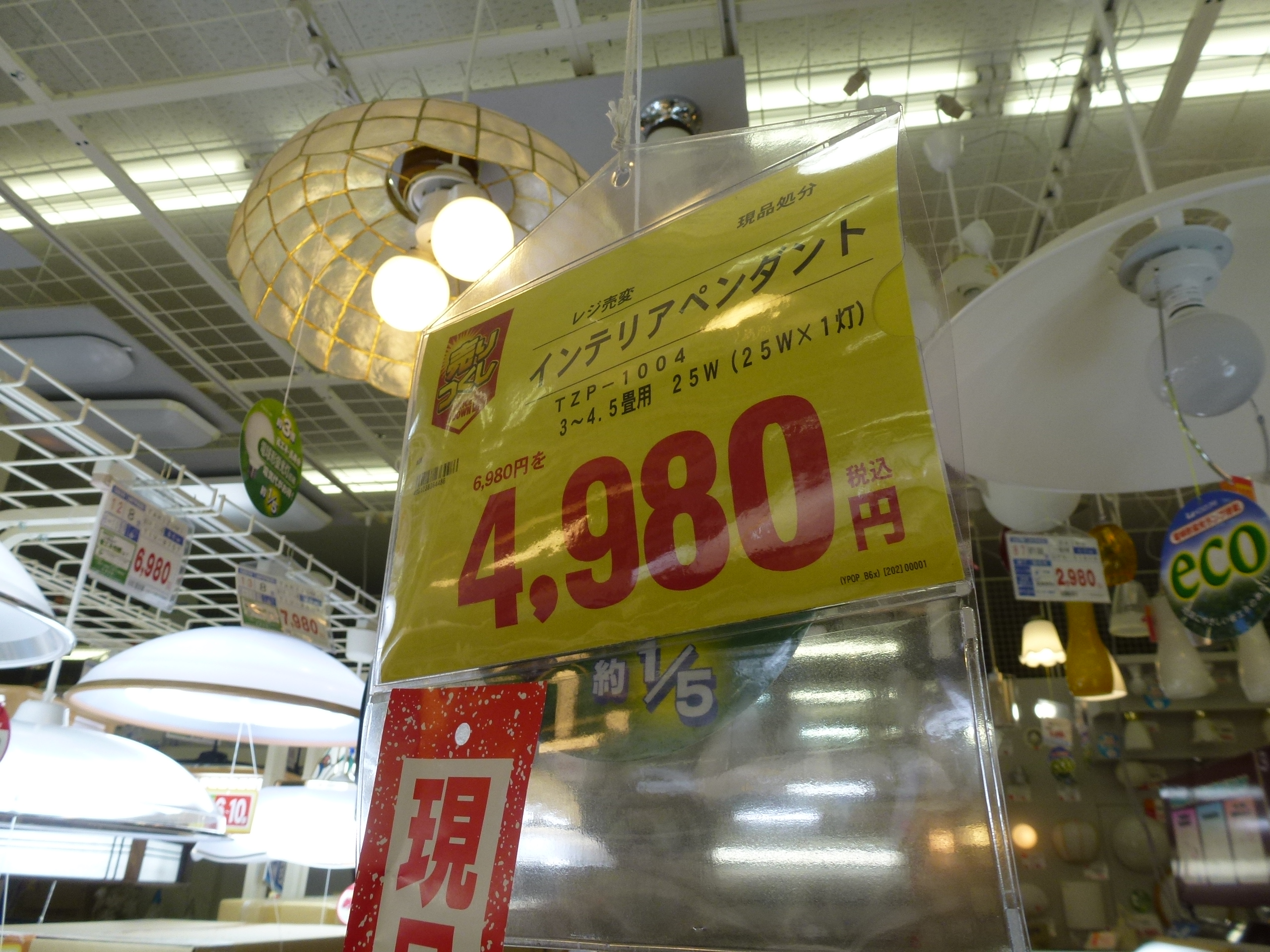 P1000562.JPG