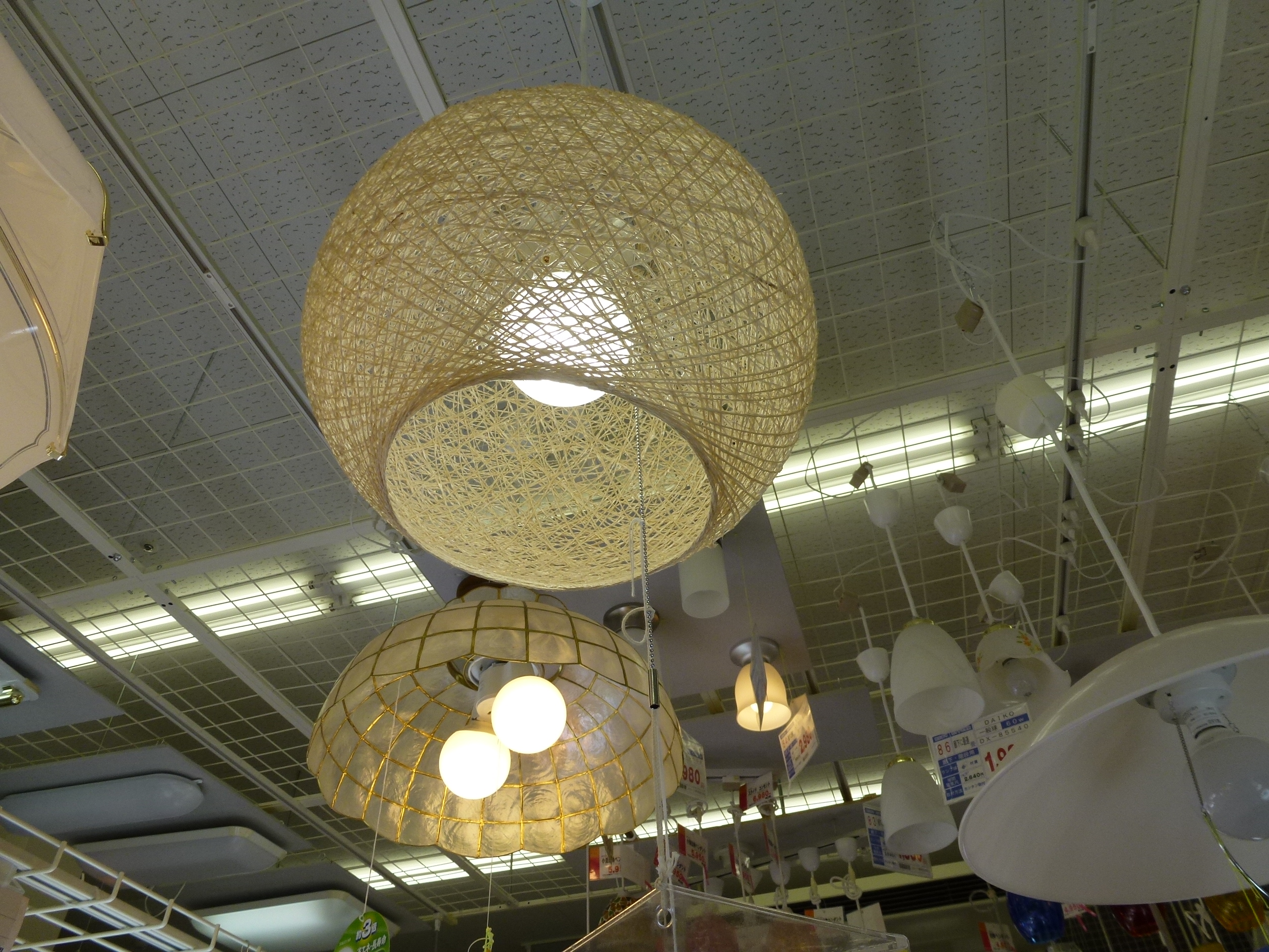 P1000563.JPG
