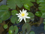 img0001.jpg