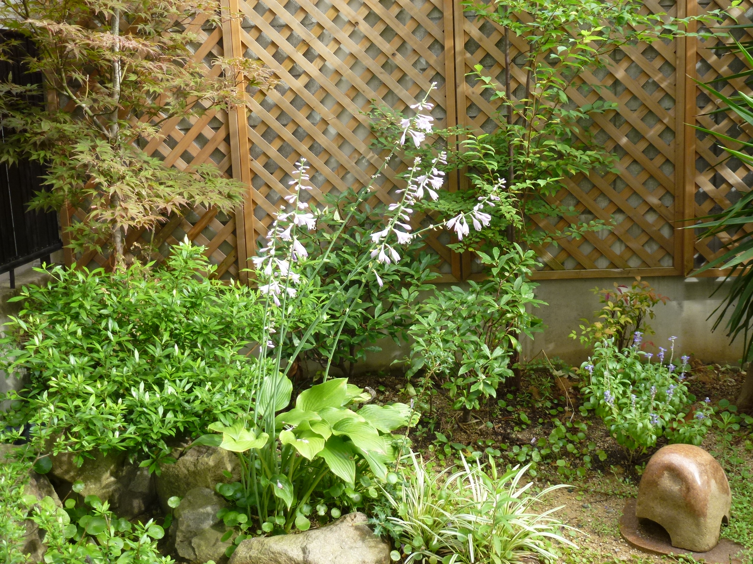 P1000568.JPG