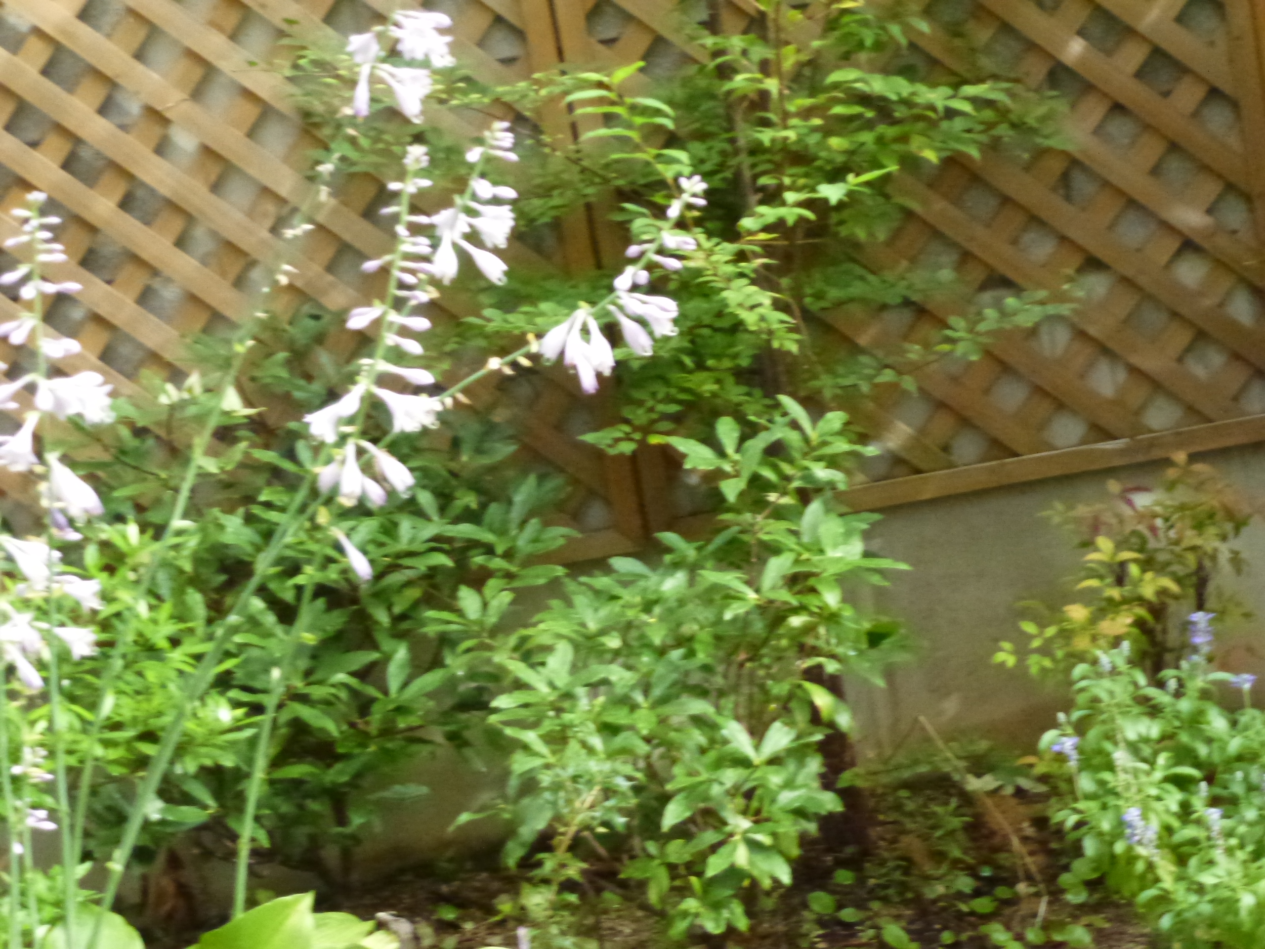 P1000569.JPG
