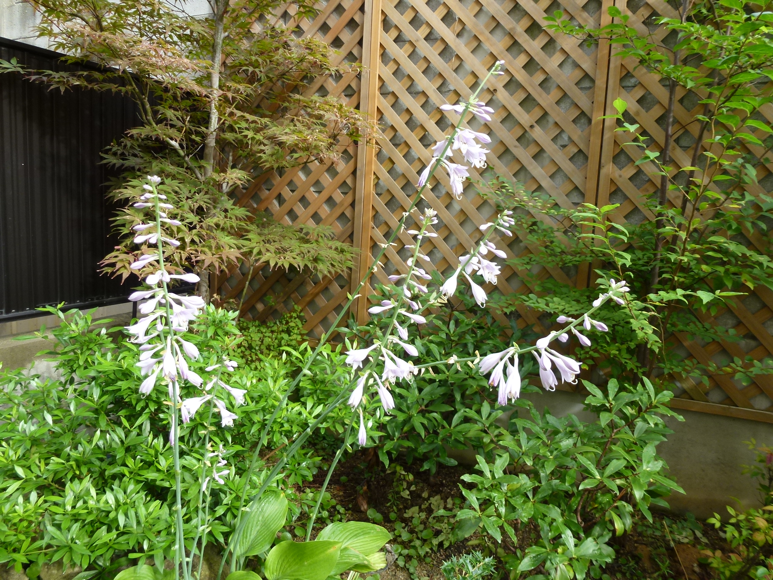 P1000572.JPG