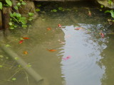 img0000.jpg