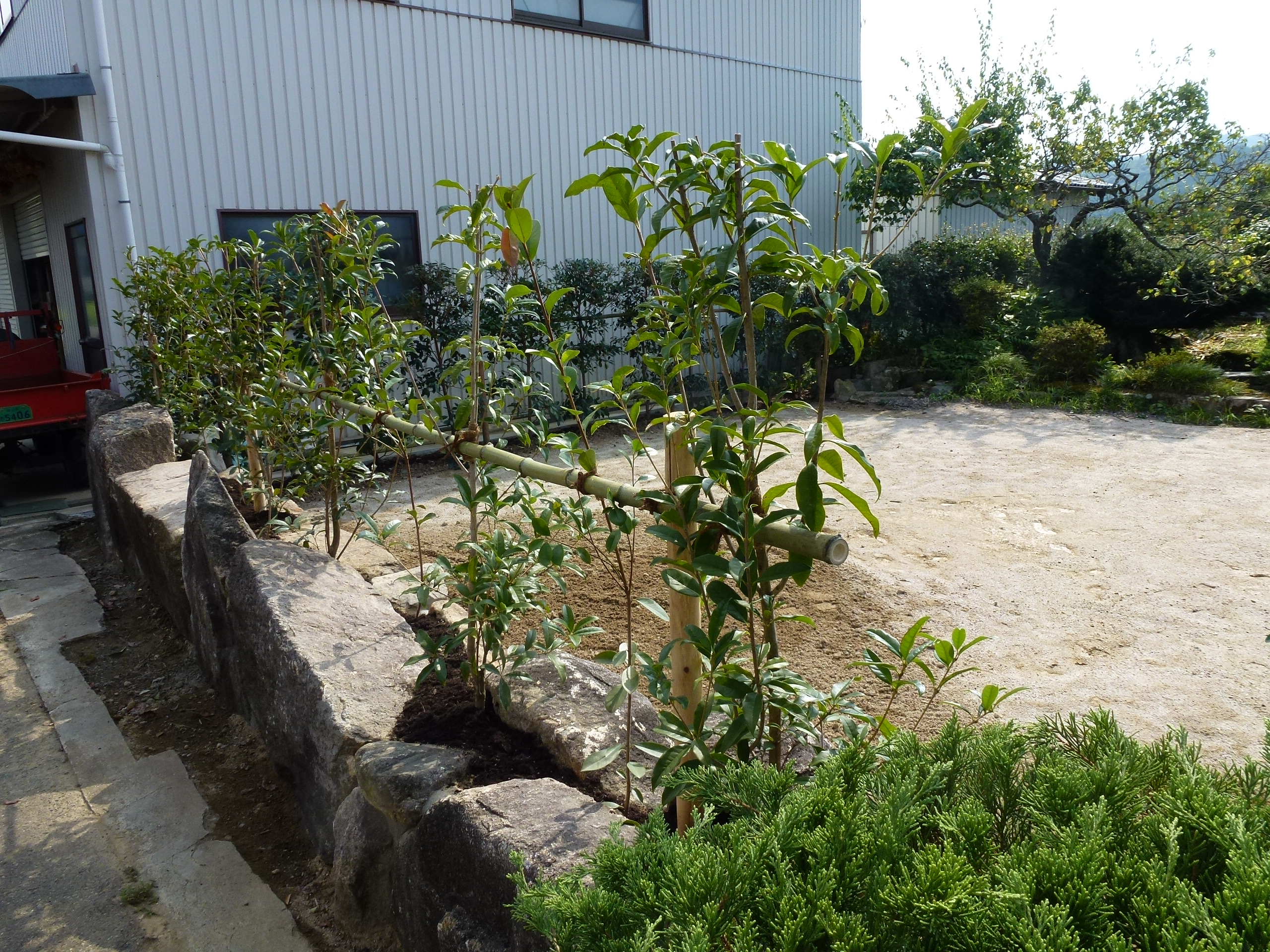 P1000726.JPG