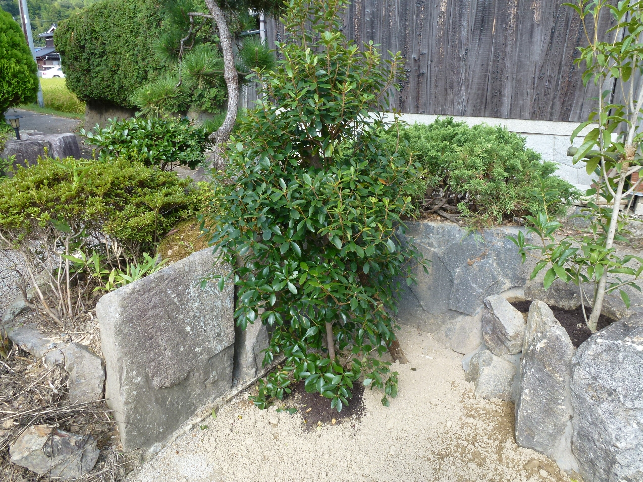 P1000728.JPG