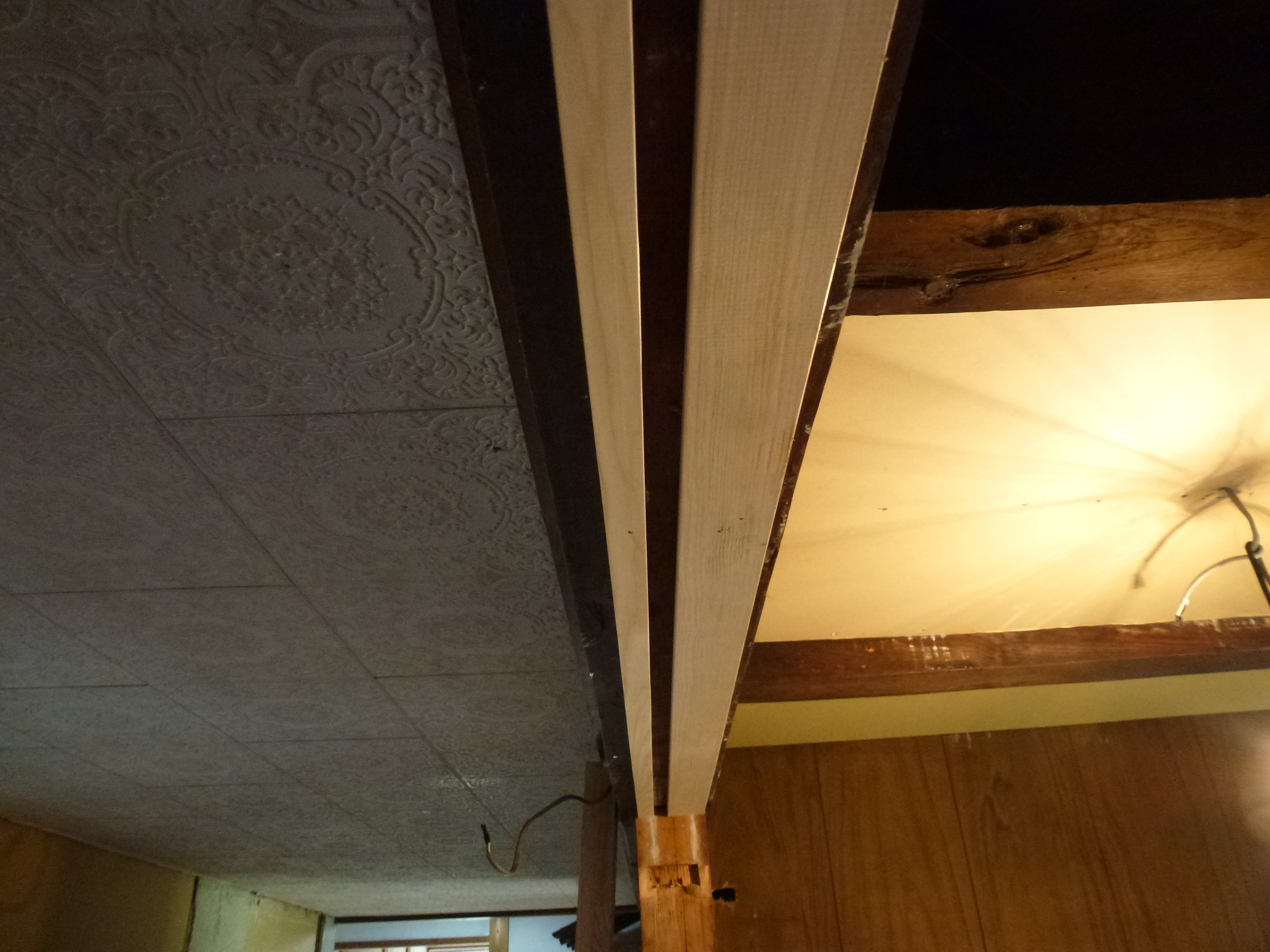 P1000735.JPG