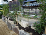 img0004.jpg