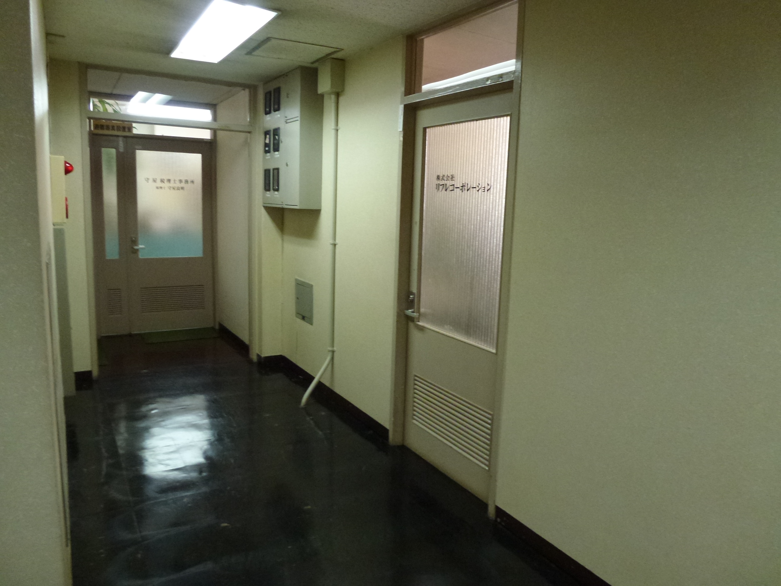 P1000741.JPG