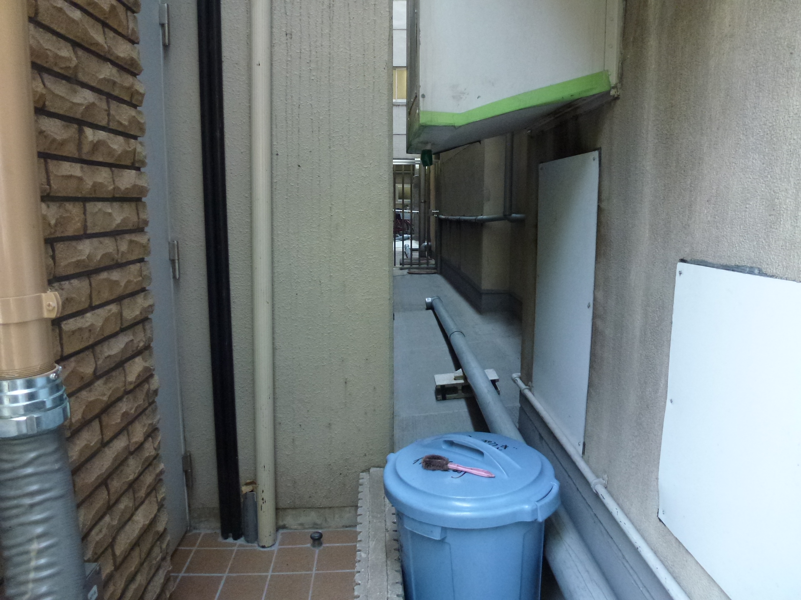 P1000766.JPG
