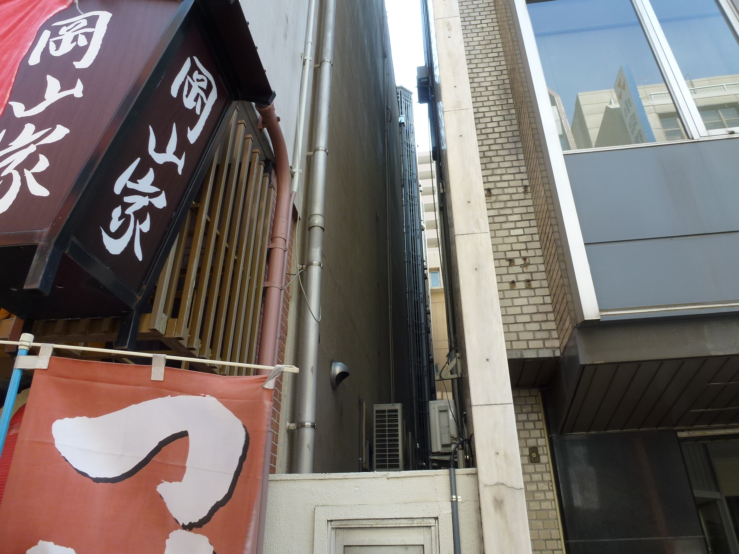 P1000767.JPG