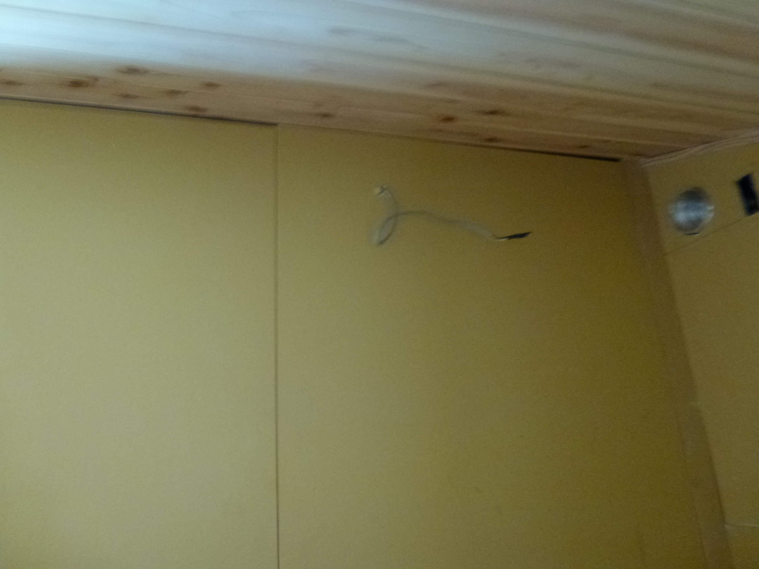 P1000785.JPG