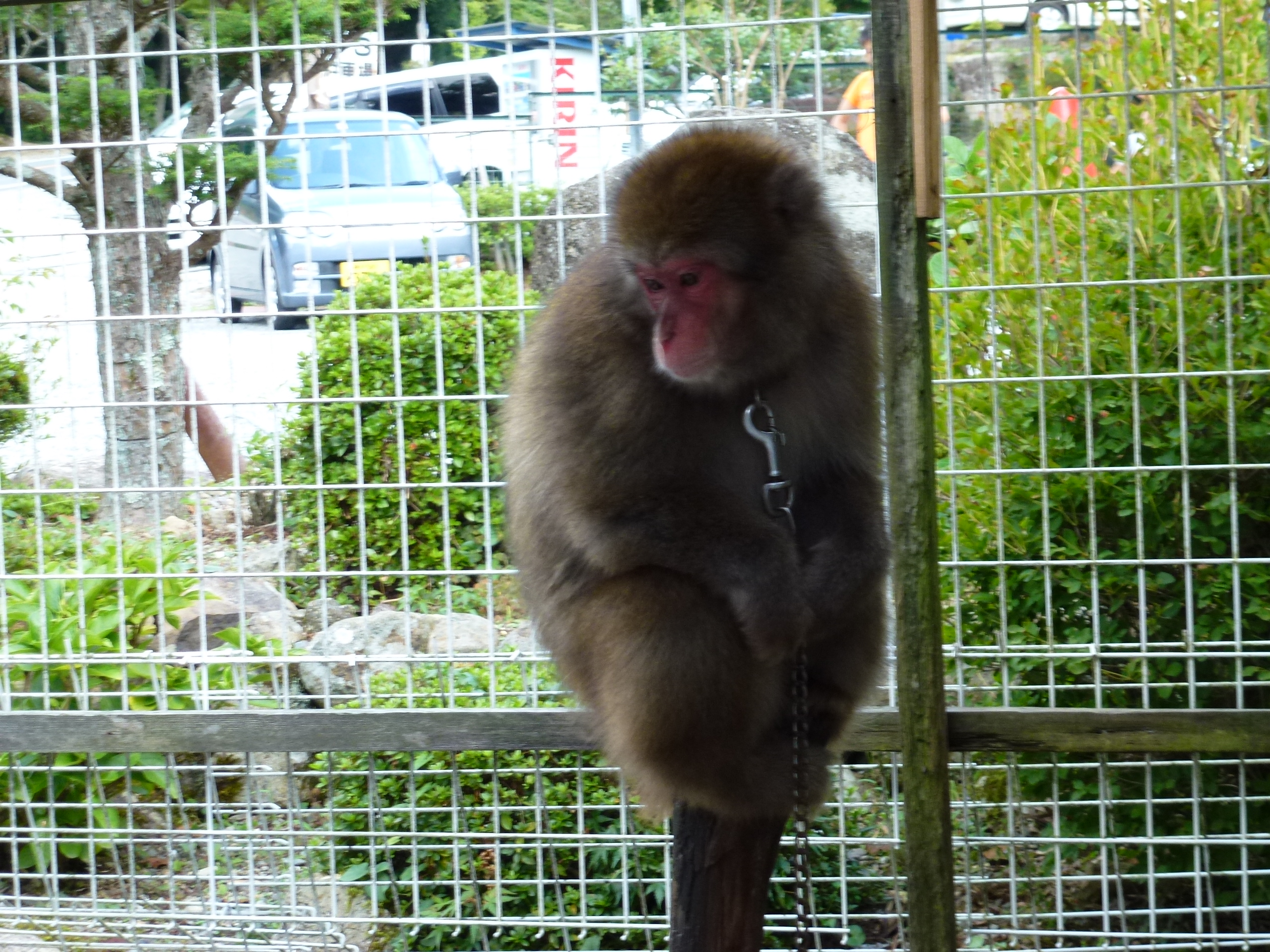 P1000839.JPG
