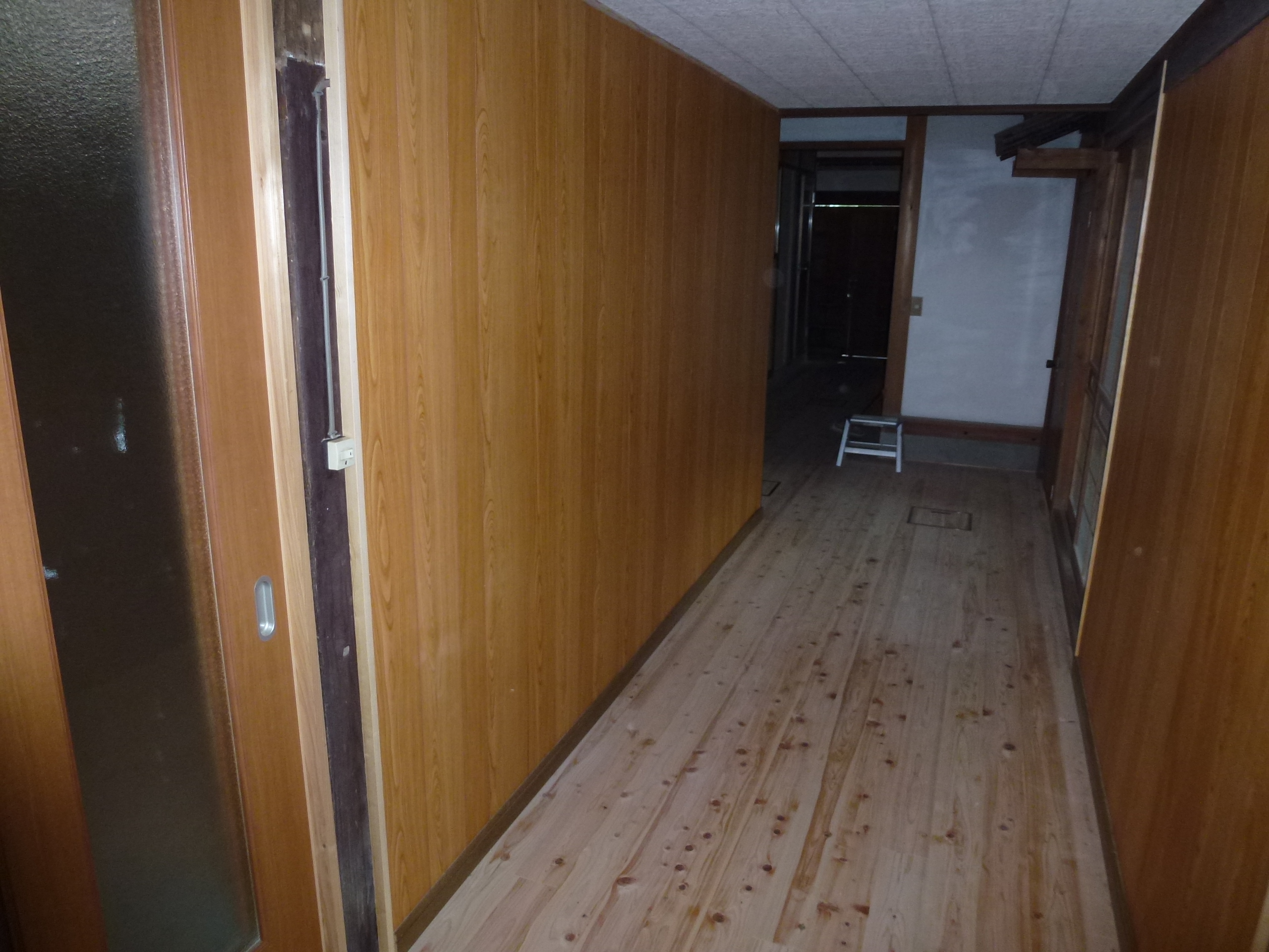 P1000842.JPG