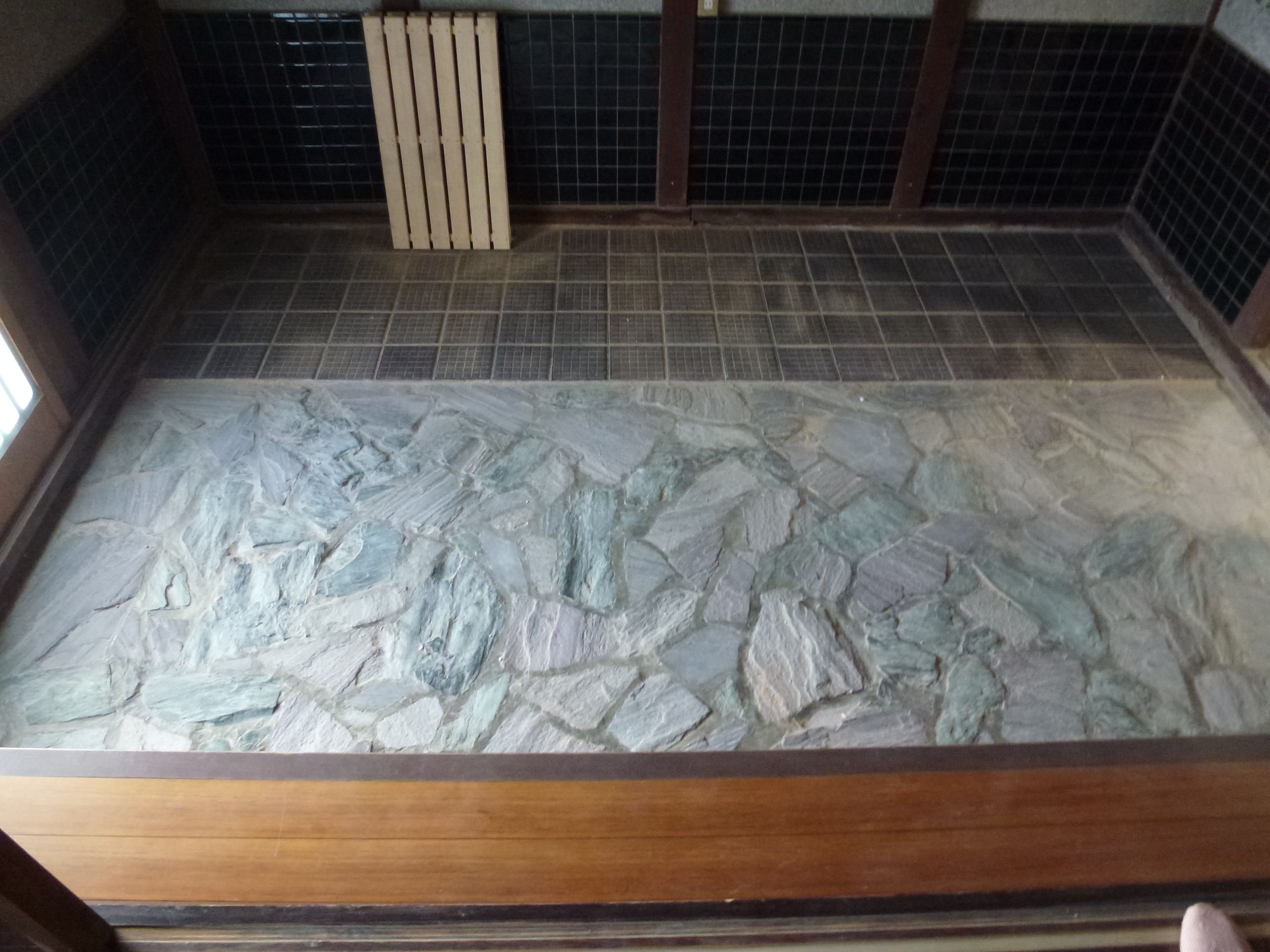 P1000845.JPG