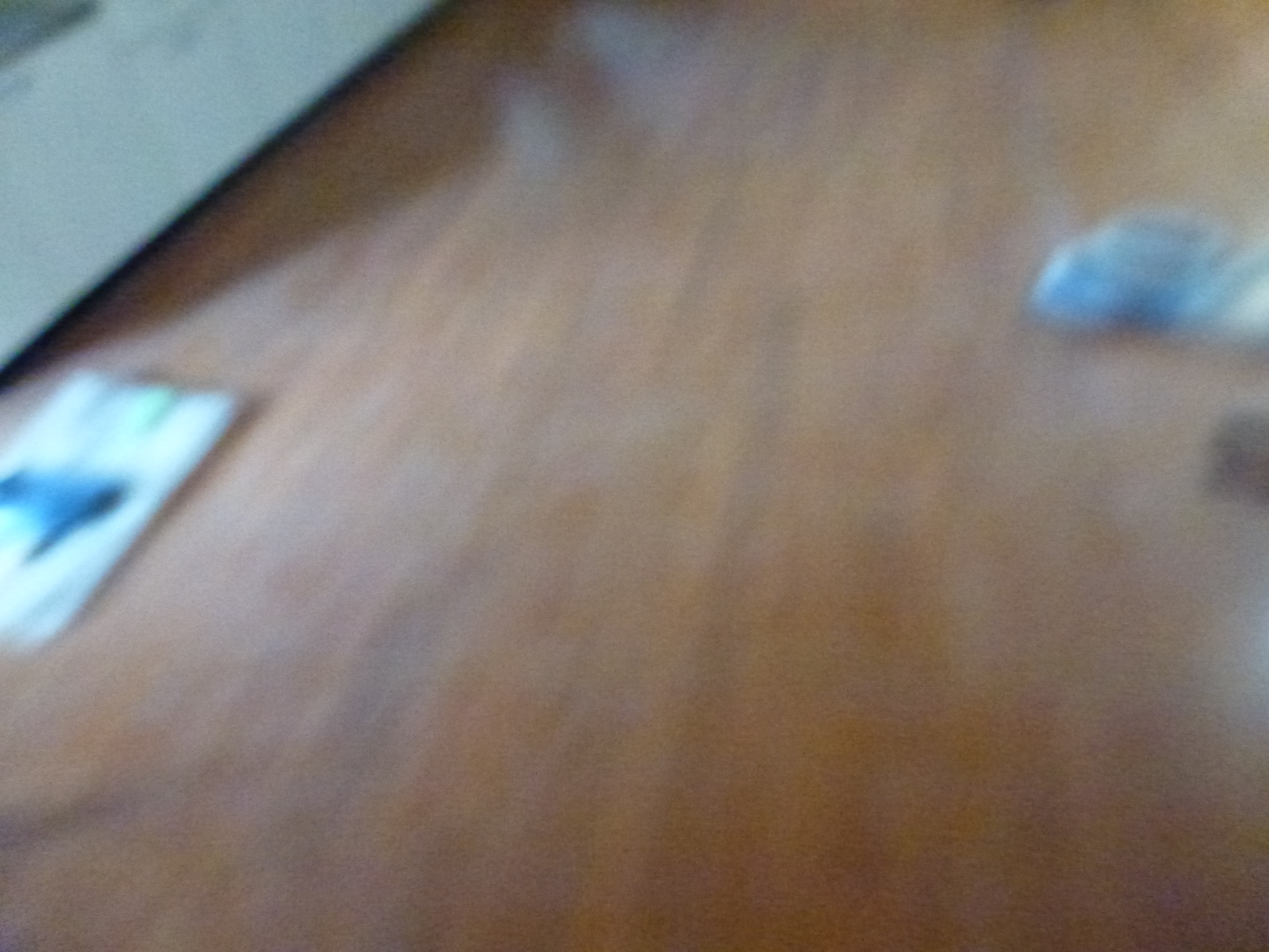 P1000846.JPG