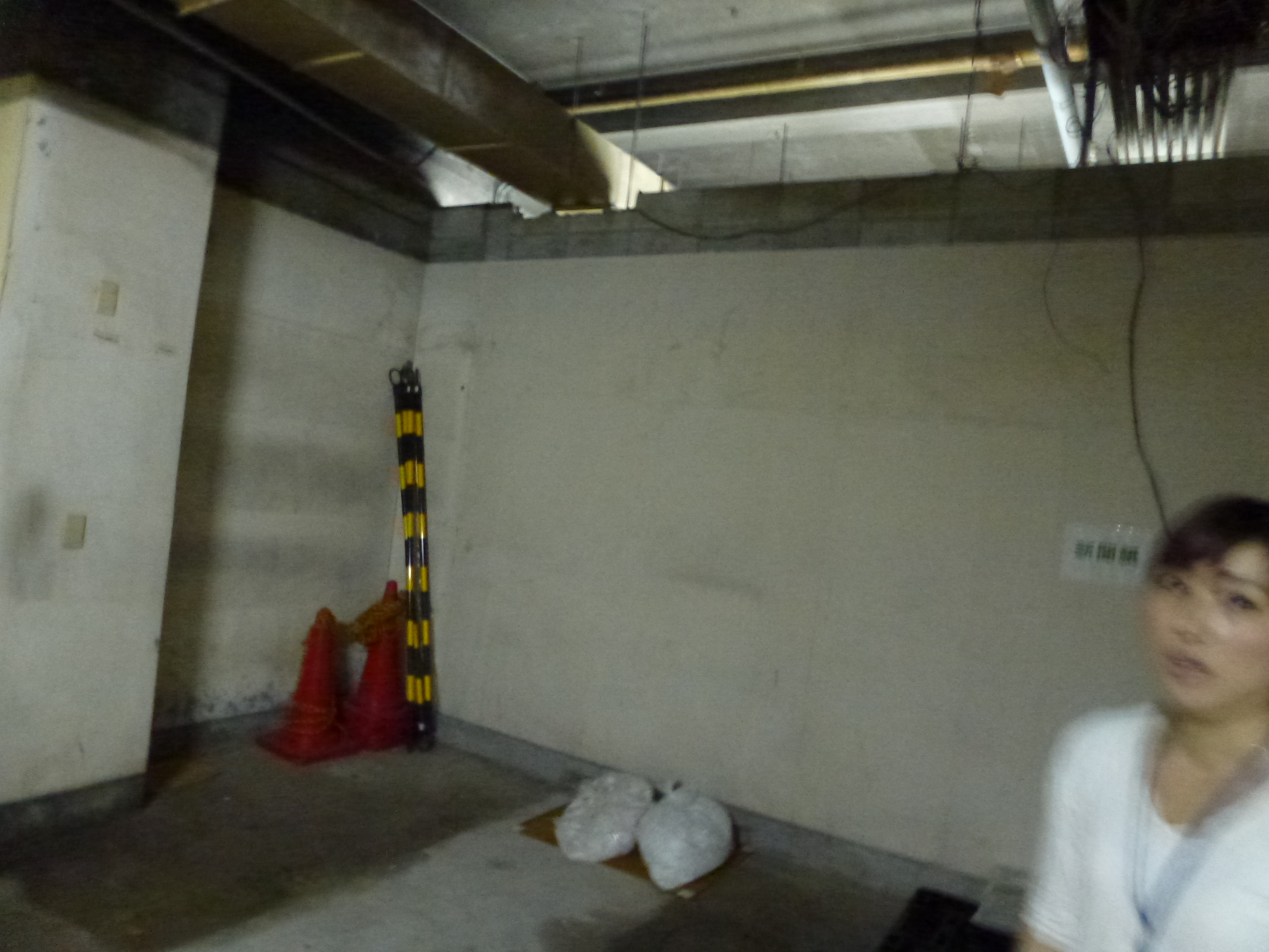 P1000875.JPG
