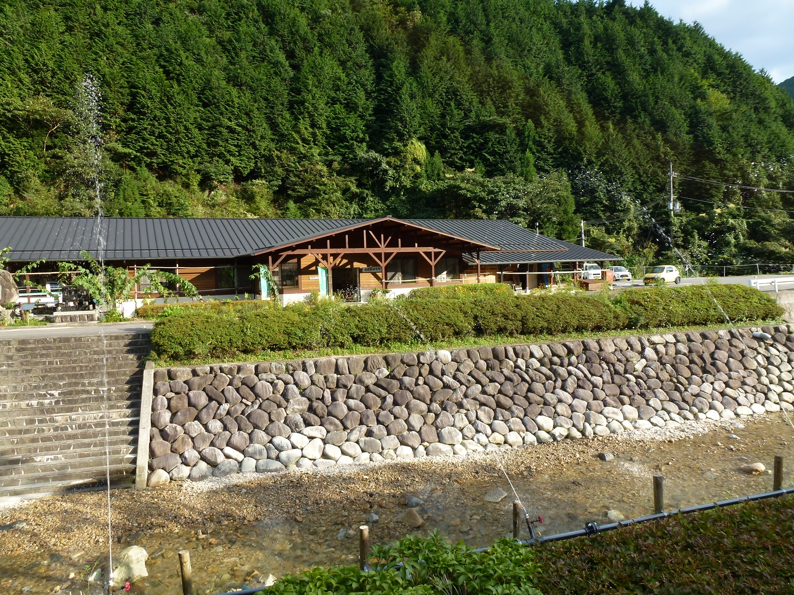 P1000904.JPG