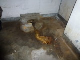 img0027.jpg