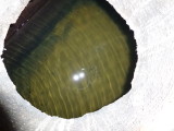 img0028.jpg