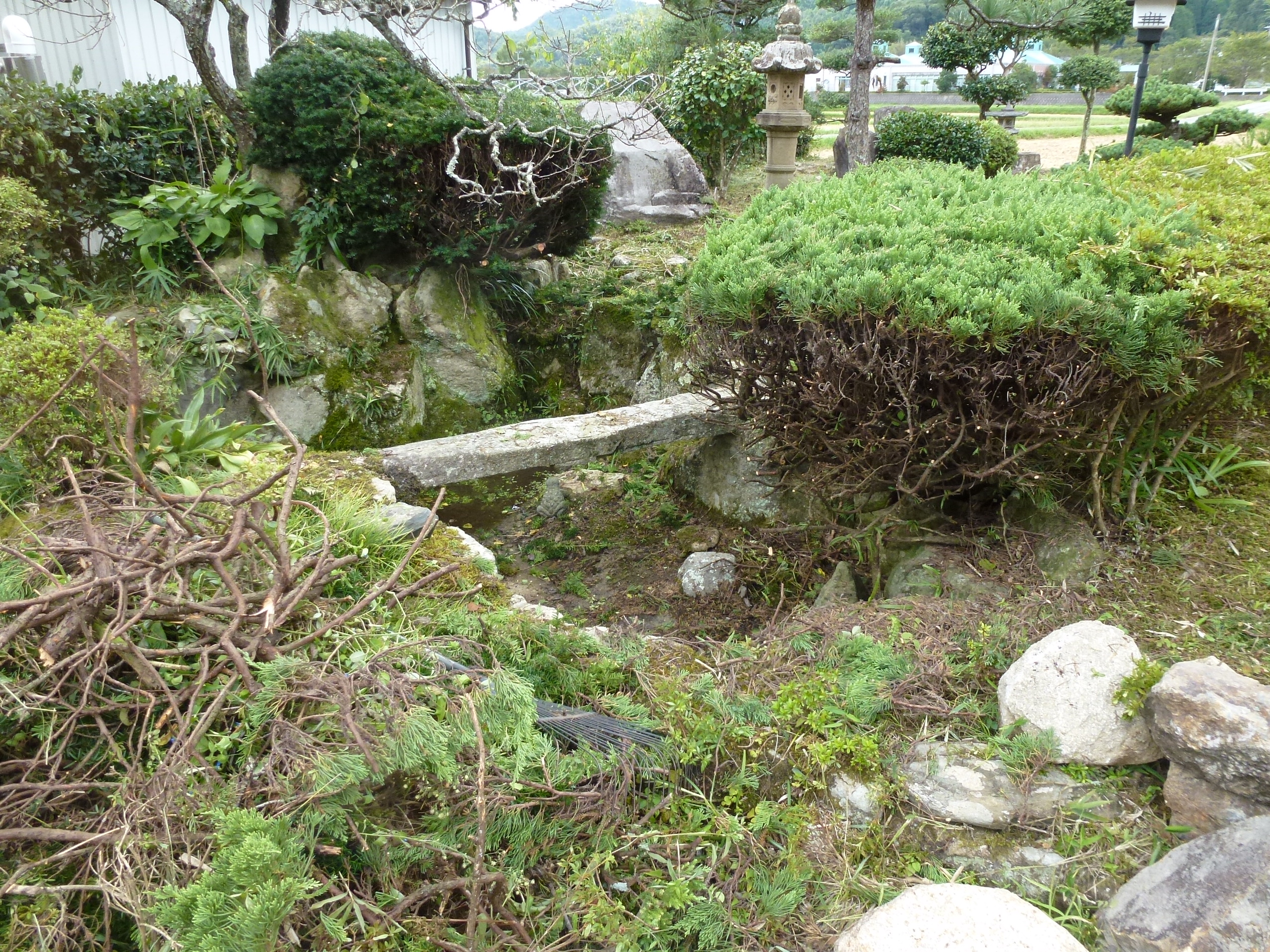 P1000910.JPG