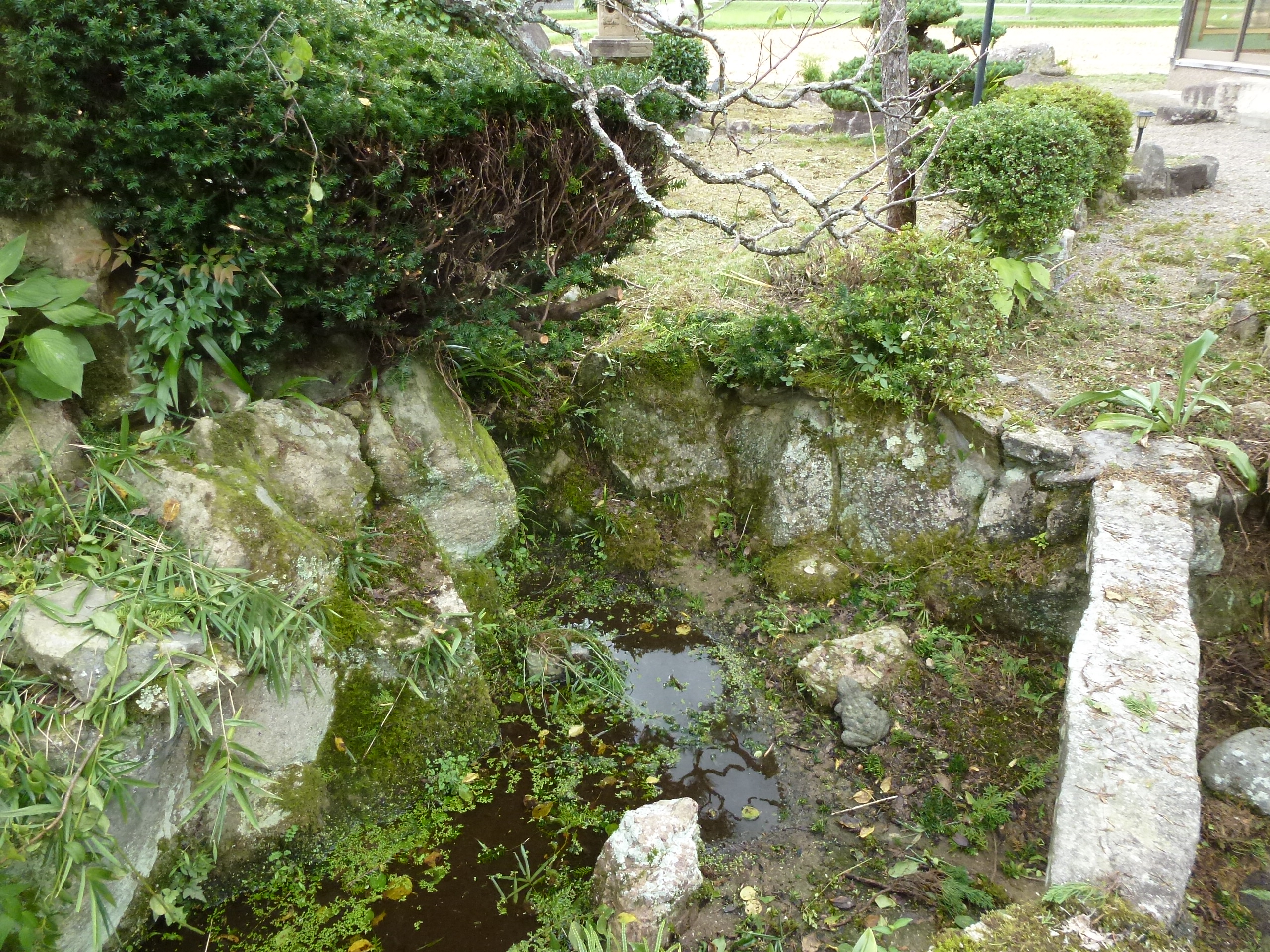 P1000912.JPG