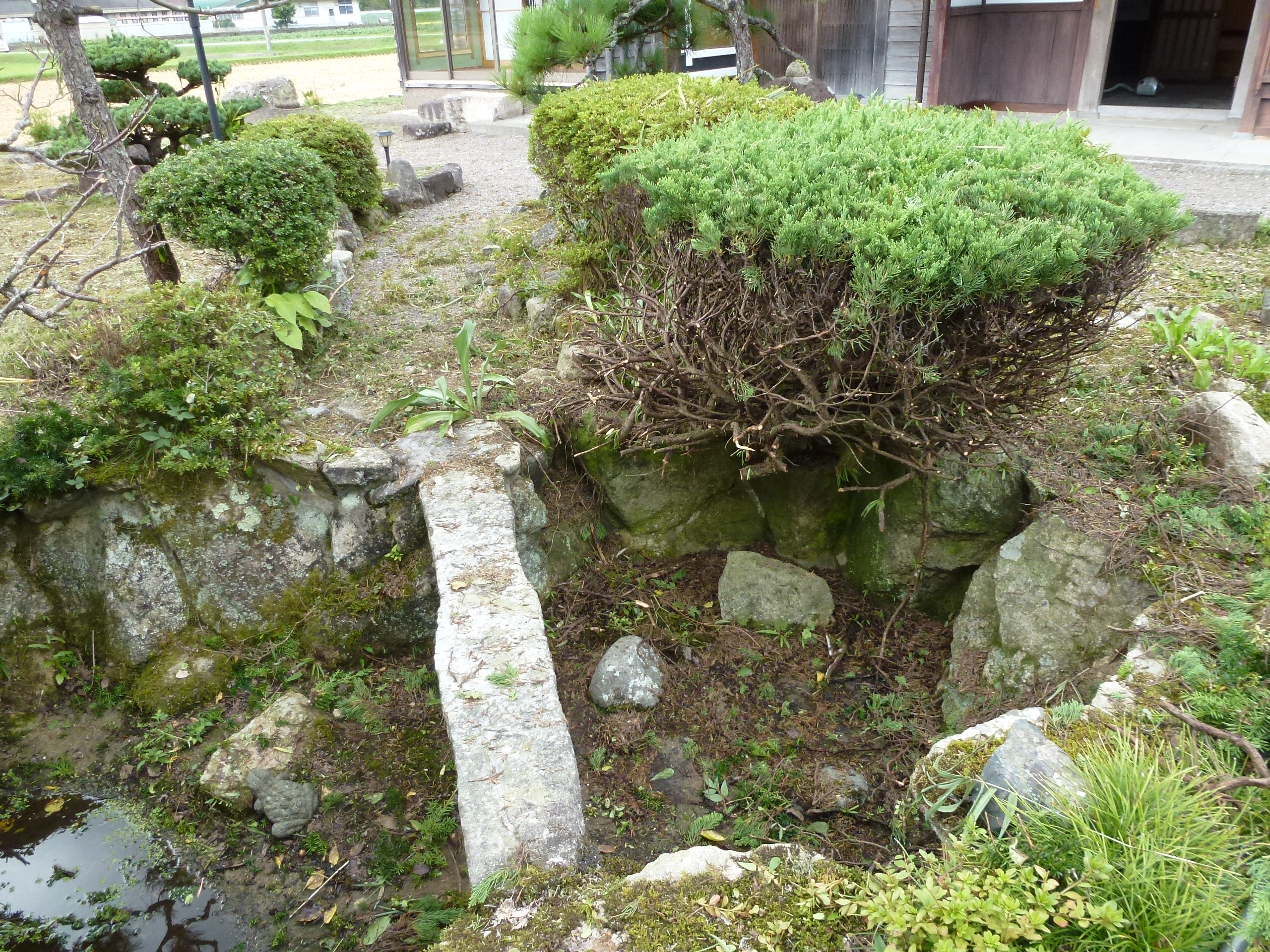 P1000913.JPG